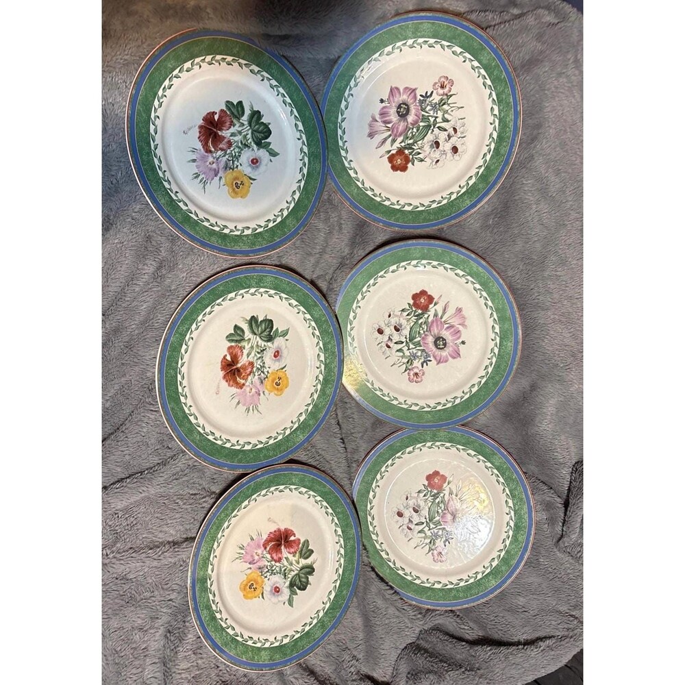 Set of 6 Smithsonian Jane Webb Loudon Floral Dinner Plates – International China